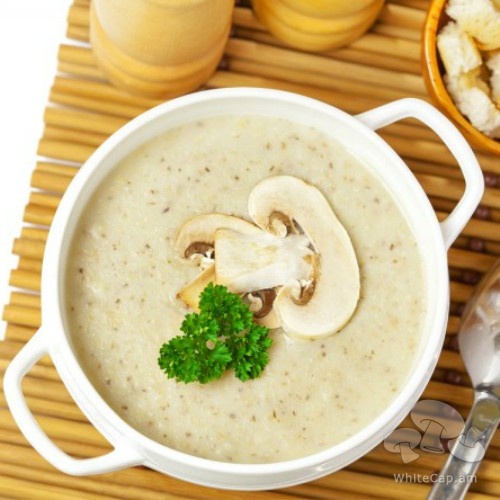 Cream-soup with Oyster Mushroom