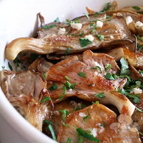 Marinated and grilled oyster mushrooms