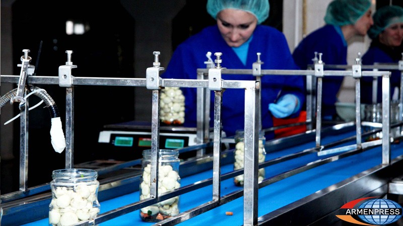 Mushroom producing company offers an exclusive cultivation method to the border districts